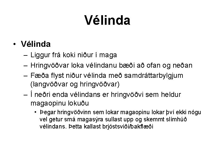 Vélinda • Vélinda – Liggur frá koki niður í maga – Hringvöðvar loka vélindanu