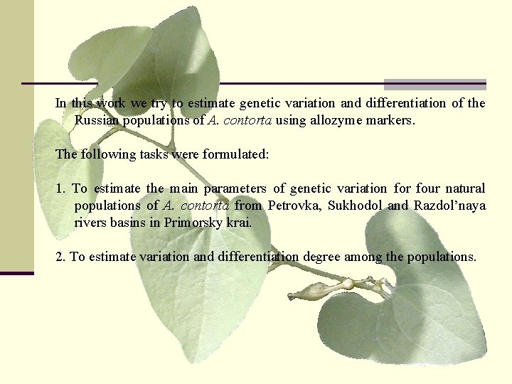 In this work we try to estimate genetic variation and differentiation of the Russian