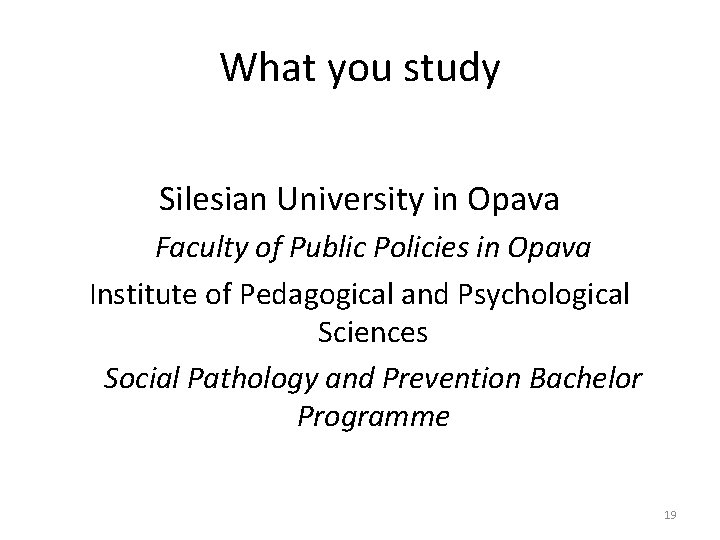 What you study Silesian University in Opava Faculty of Public Policies in Opava Institute