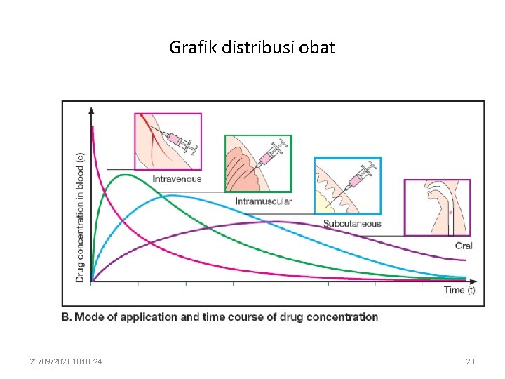 Grafik distribusi obat 21/09/2021 10: 01: 24 20 