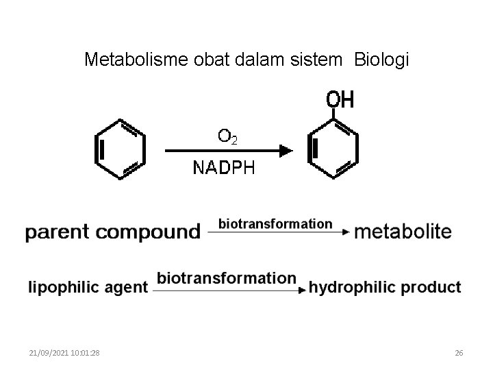 Metabolisme obat dalam sistem Biologi 21/09/2021 10: 01: 28 26 