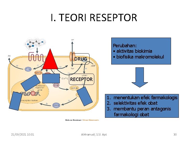 I. TEORI RESEPTOR DRUG Perubahan: • aktivitas biokimia • biofisika makromolekul RECEPTOR 1. menentukan