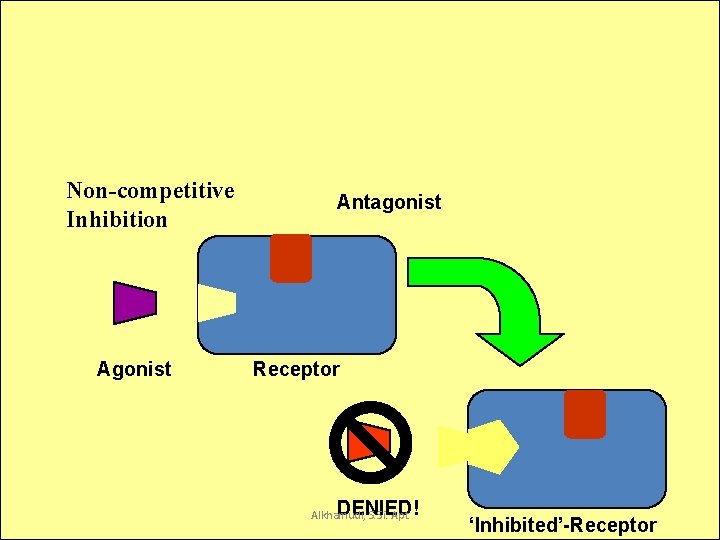 Receptor Interactions Non-competitive Inhibition Agonist 21/09/2021 10: 01 Antagonist Receptor DENIED! Alkhamudi, S. Si.