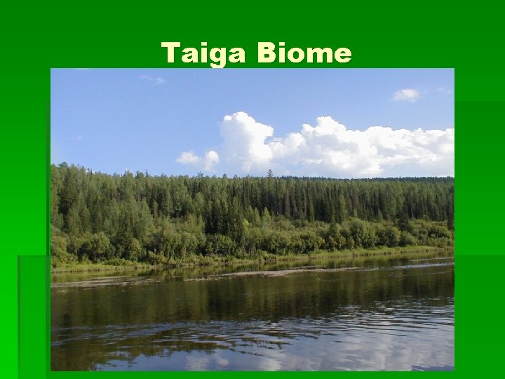 Taiga Biome 