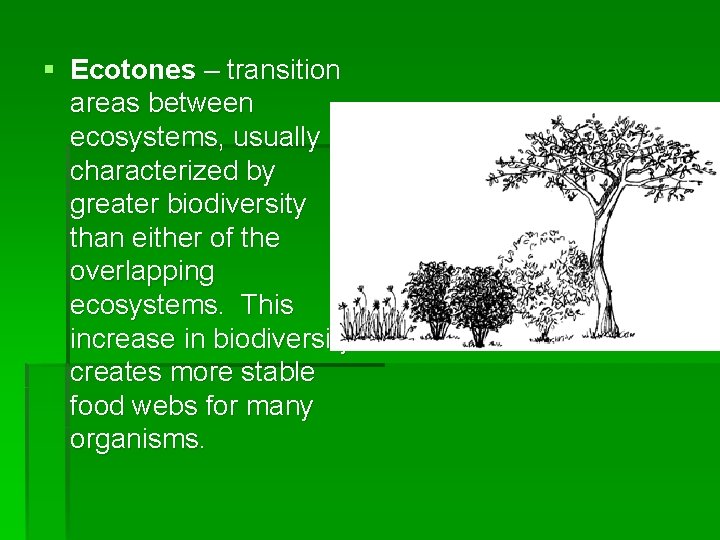 § Ecotones – transition areas between ecosystems, usually characterized by greater biodiversity than either