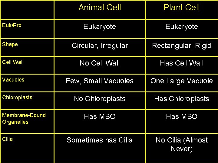Animal Cell Plant Cell Eukaryote Circular, Irregular Rectangular, Rigid Cell Wall No Cell Wall