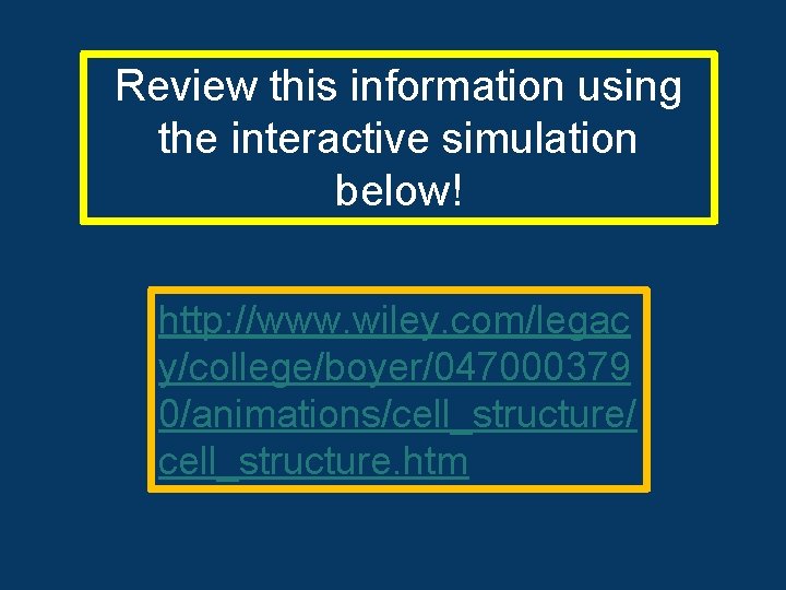 Review this information using the interactive simulation below! http: //www. wiley. com/legac y/college/boyer/047000379 0/animations/cell_structure/