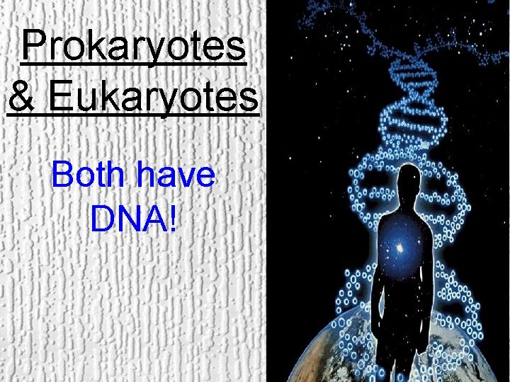 Prokaryotes & Eukaryotes Both have DNA! 