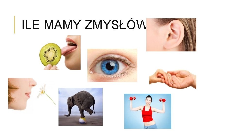 ILE MAMY ZMYSŁÓW? 