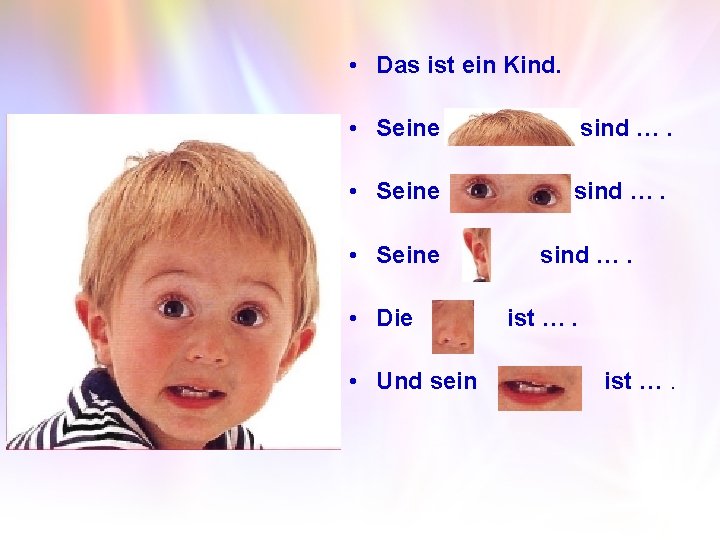  • Das ist ein Kind. • Seine sind …. • Seine • Die