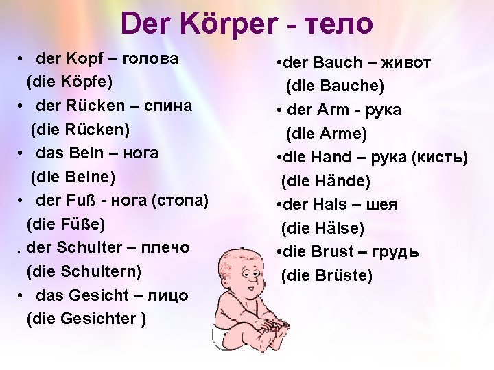 Der Körper - тело • der Kopf – голова (die Köpfe) • der Rücken