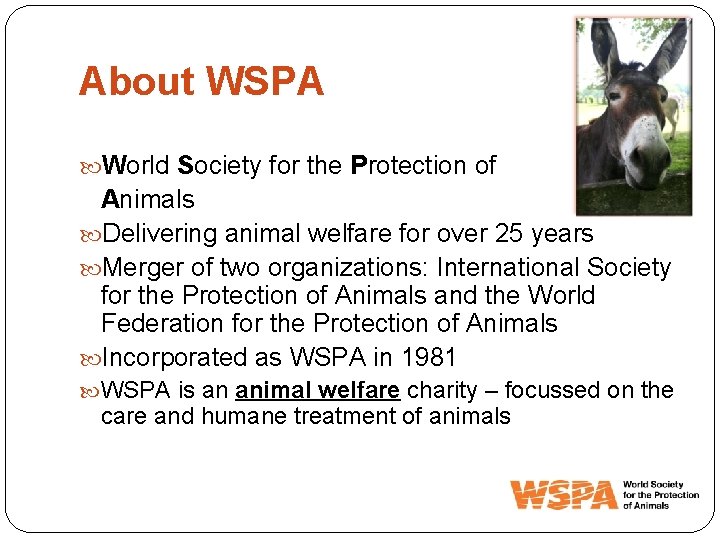 About WSPA World Society for the Protection of Animals Delivering animal welfare for over