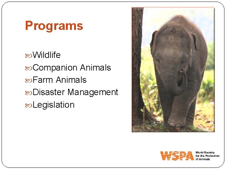 Programs Wildlife Companion Animals Farm Animals Disaster Management Legislation 