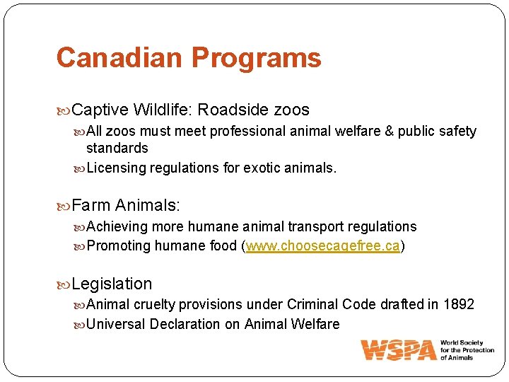 Canadian Programs Captive Wildlife: Roadside zoos All zoos must meet professional animal welfare &
