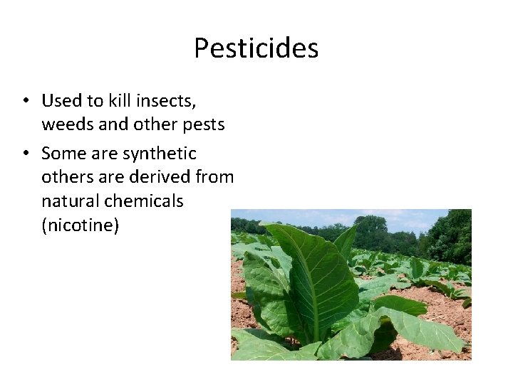 Pesticides • Used to kill insects, weeds and other pests • Some are synthetic