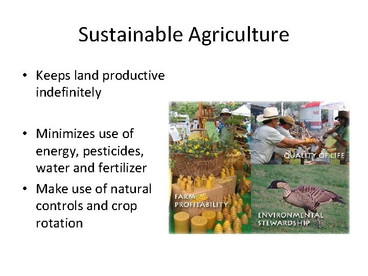 Sustainable Agriculture • Keeps land productive indefinitely • Minimizes use of energy, pesticides, water