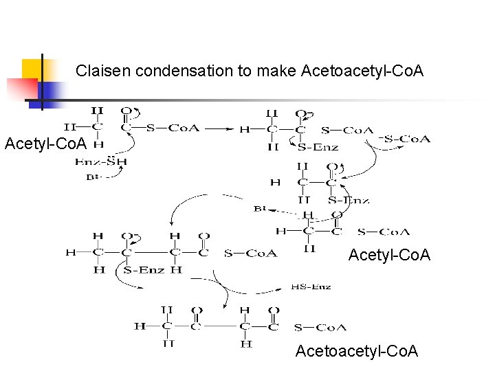 Claisen condensation to make Acetoacetyl-Co. A Acetyl-Co. A Acetoacetyl-Co. A 