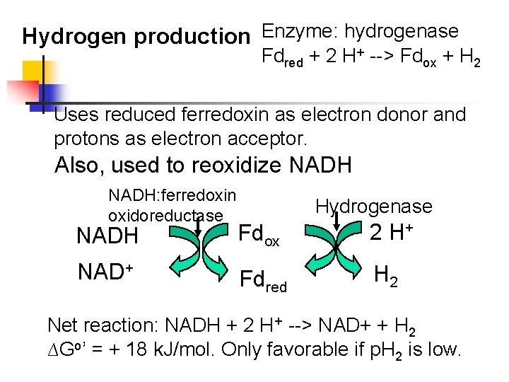 Hydrogen production Enzyme: hydrogenase Fdred + 2 H+ --> Fdox + H 2 Uses