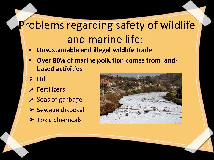 Problems regarding safety of wildlife and marine life: • Unsustainable and illegal wildlife trade