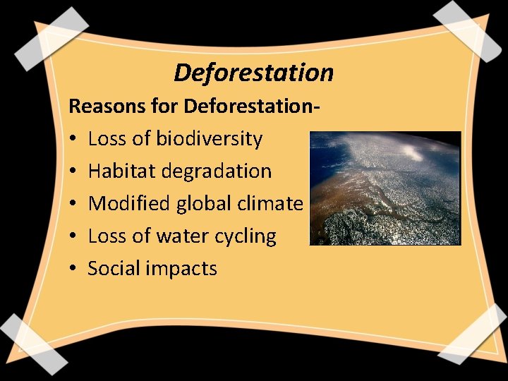 Deforestation Reasons for Deforestation • Loss of biodiversity • Habitat degradation • Modified global