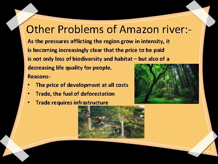 Other Problems of Amazon river: As the pressures afflicting the region grow in intensity,