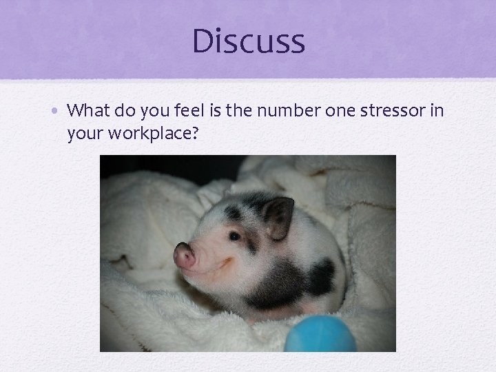 Discuss • What do you feel is the number one stressor in your workplace?