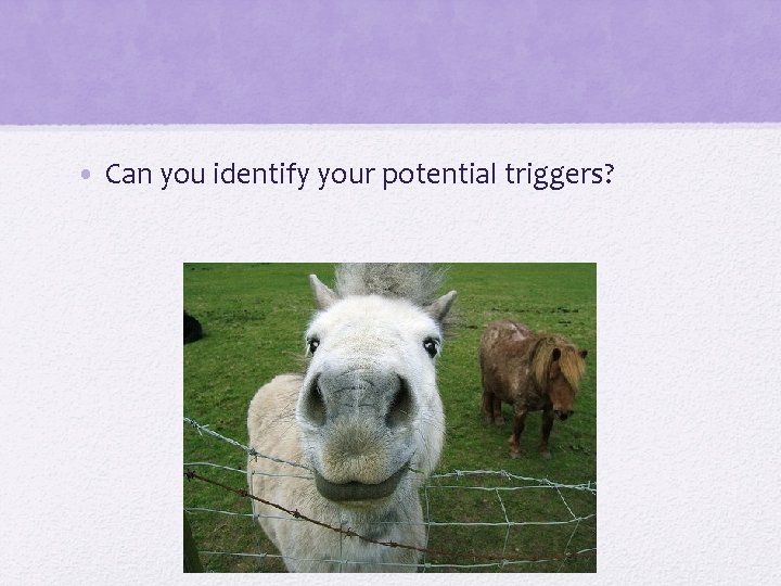  • Can you identify your potential triggers? 