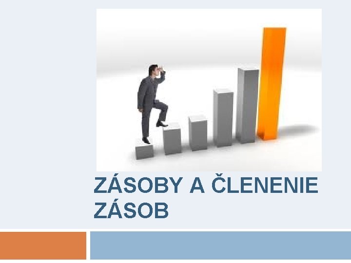 ZÁSOBY A ČLENENIE ZÁSOB 