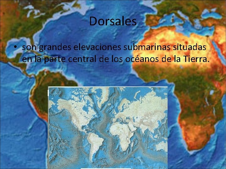 Dorsales • son grandes elevaciones submarinas situadas en la parte central de los océanos Dorsales • son grandes elevaciones submarinas situadas en la parte central de los océanos