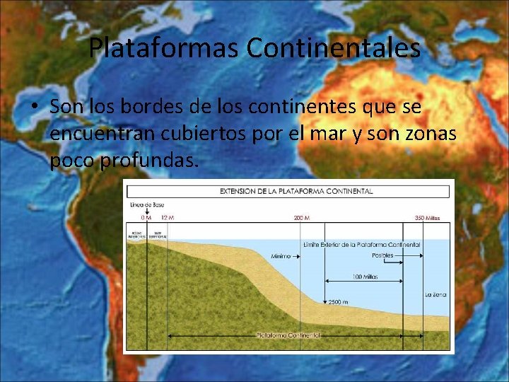 Plataformas Continentales • Son los bordes de los continentes que se encuentran cubiertos por