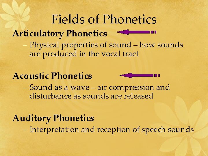 Fields of Phonetics Articulatory Phonetics – Physical properties of sound – how sounds are