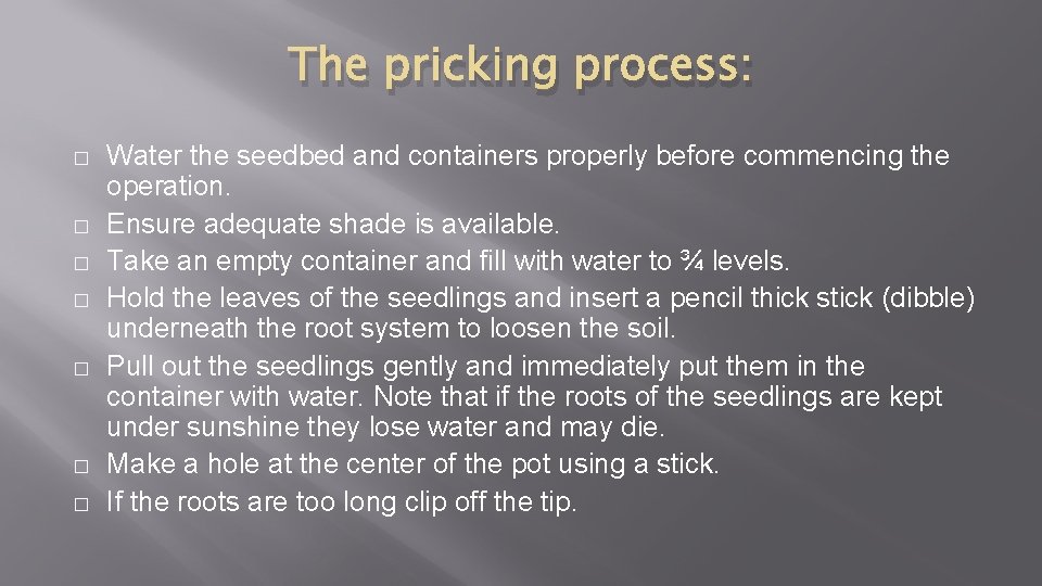 The pricking process: � � � � Water the seedbed and containers properly before
