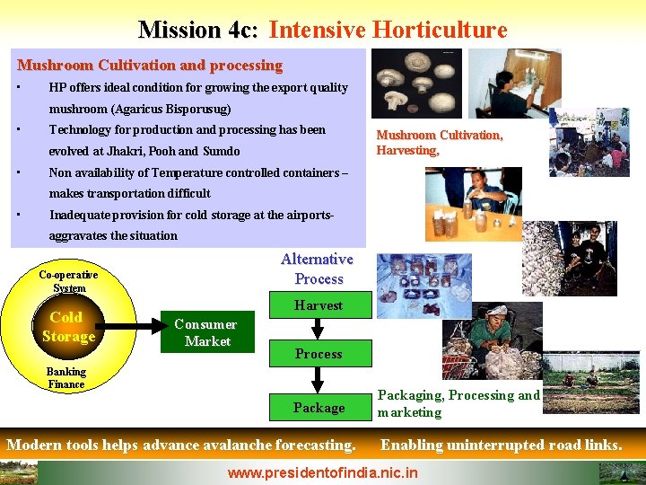 Mission 4 c: Intensive Horticulture Mushroom Cultivation and processing • HP offers ideal condition