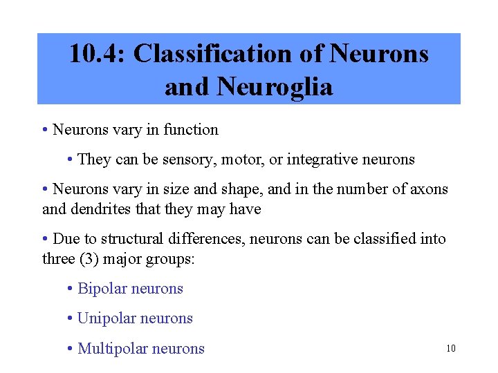 10. 4: Classification of Neurons and Neuroglia • Neurons vary in function • They