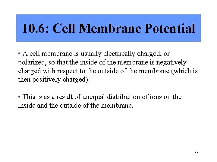 10. 6: Cell Membrane Potential • A cell membrane is usually electrically charged, or