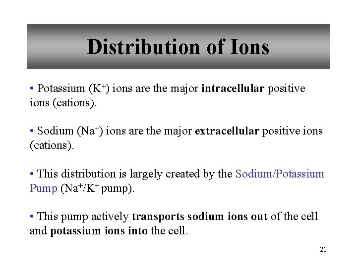 Distribution of Ions • Potassium (K+) ions are the major intracellular positive ions (cations).