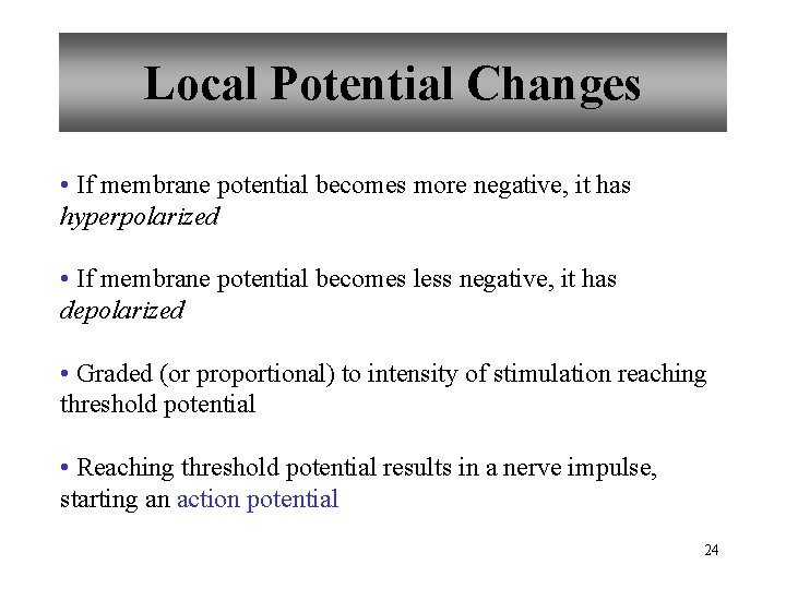 Local Potential Changes • If membrane potential becomes more negative, it has hyperpolarized •