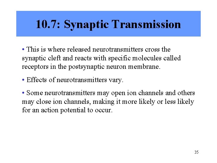 10. 7: Synaptic Transmission • This is where released neurotransmitters cross the synaptic cleft