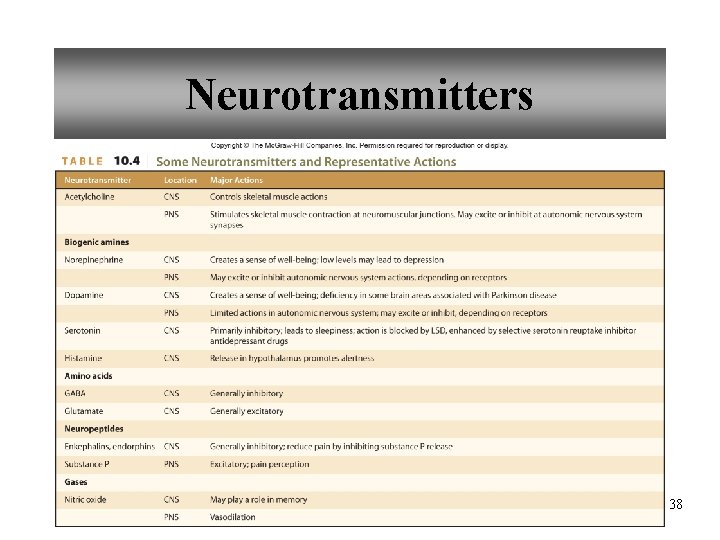 Neurotransmitters 38 