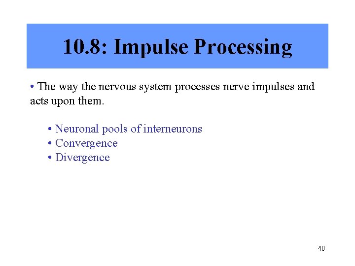 10. 8: Impulse Processing • The way the nervous system processes nerve impulses and