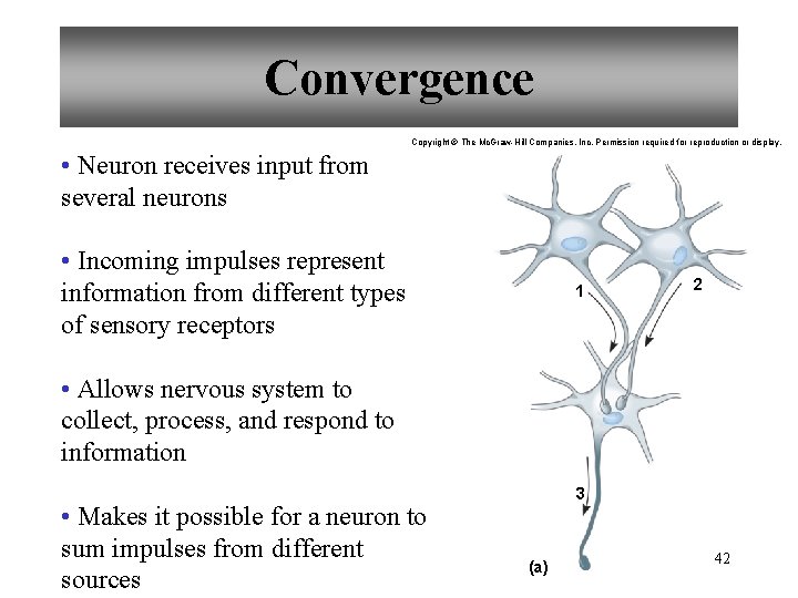 Convergence Copyright © The Mc. Graw-Hill Companies, Inc. Permission required for reproduction or display.