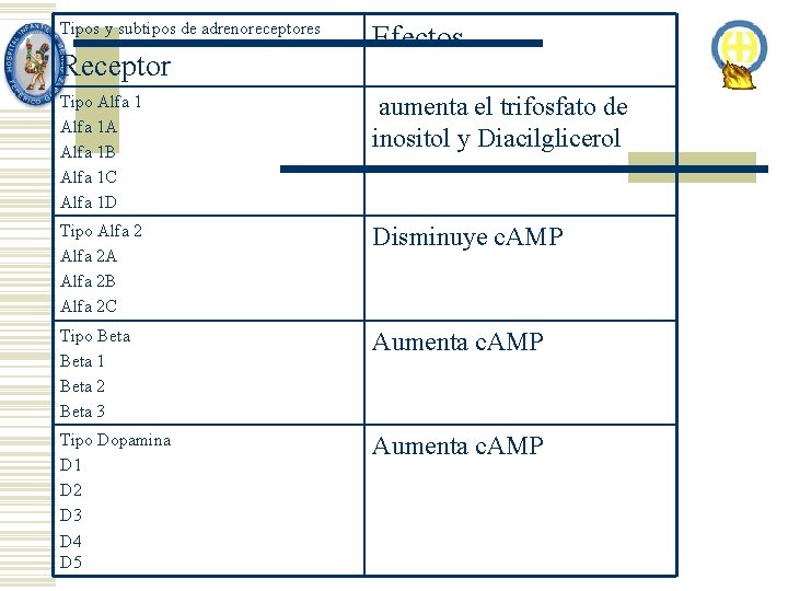 Tipos y subtipos de adrenoreceptores Receptor Efectos Tipo Alfa 1 A Alfa 1 B