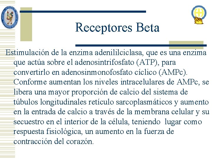 Receptores Beta Estimulación de la enzima adenililciclasa, que es una enzima que actúa sobre