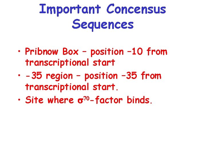 Important Concensus Sequences • Pribnow Box – position – 10 from transcriptional start •