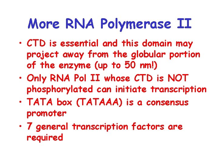 More RNA Polymerase II • CTD is essential and this domain may project away