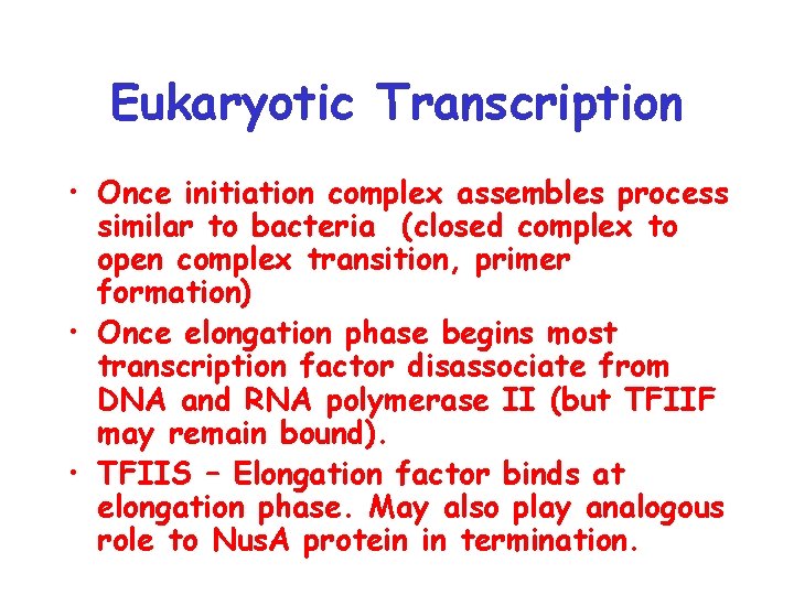 Eukaryotic Transcription • Once initiation complex assembles process similar to bacteria (closed complex to