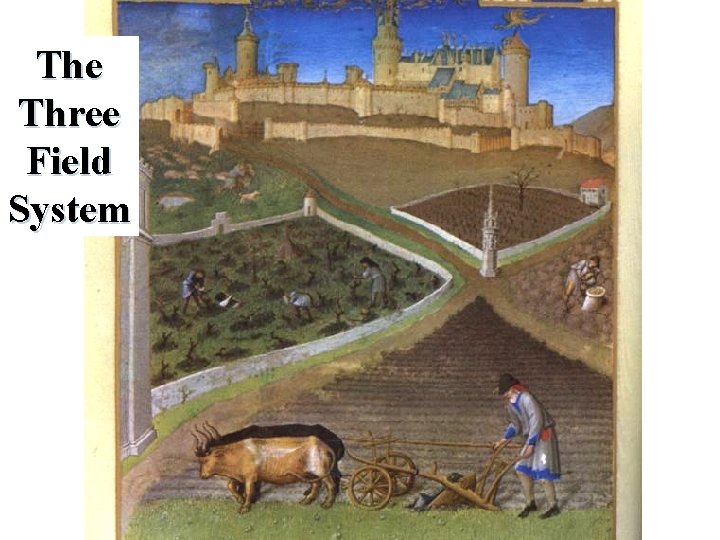 The Three Field System 