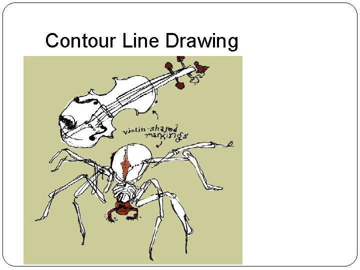 Contour Line Drawing 