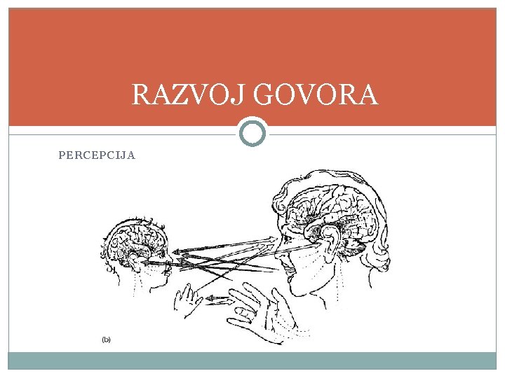 RAZVOJ GOVORA PERCEPCIJA 