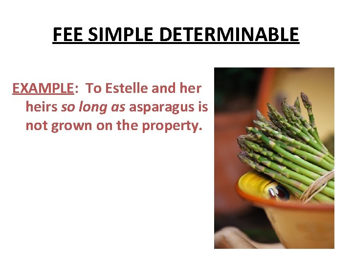 FEE SIMPLE DETERMINABLE EXAMPLE: To Estelle and her heirs so long as asparagus is